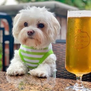 Meet your Posher, Di